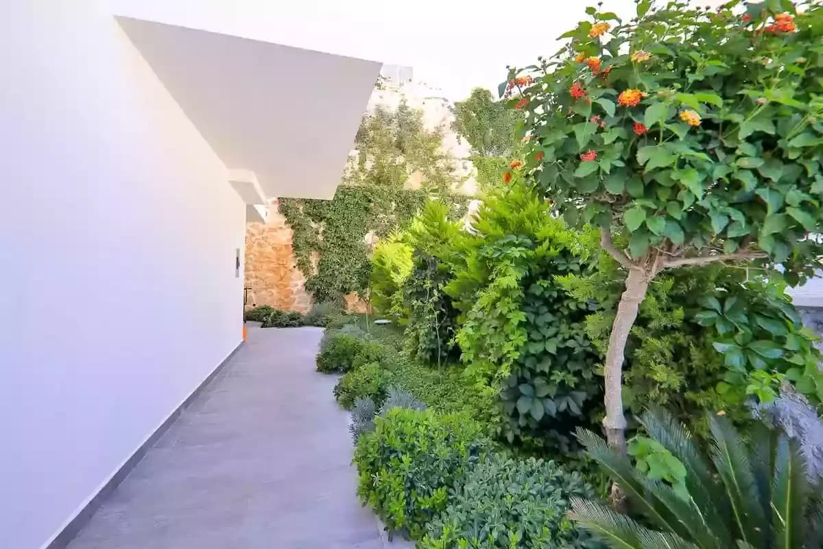 Villa İmparator 66