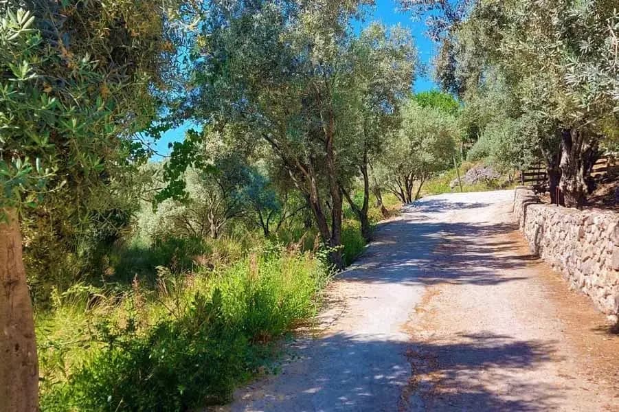 Villa Simay 1 14
