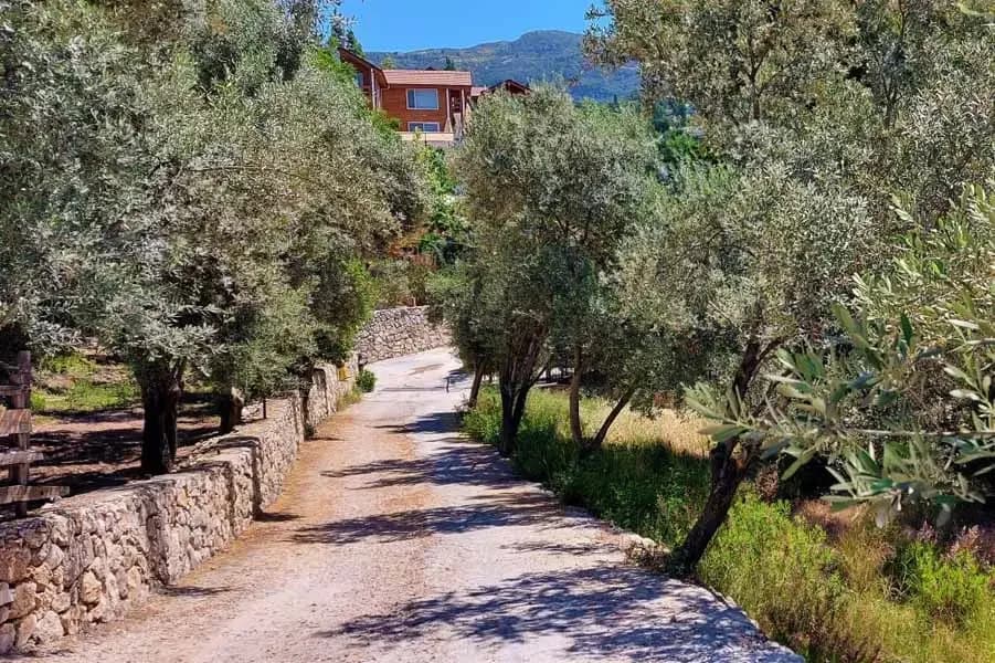 Villa Simay 1 35