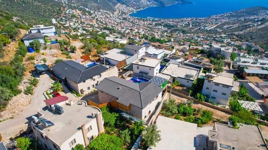 Villa Jungle 22