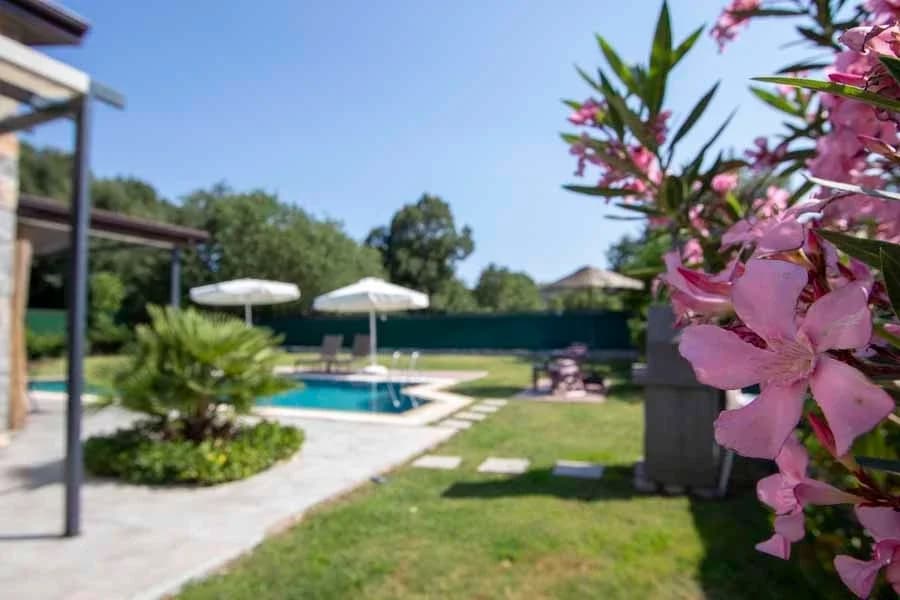 Villa Kaya Petunya 52