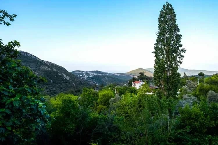 Villa Yudum 59