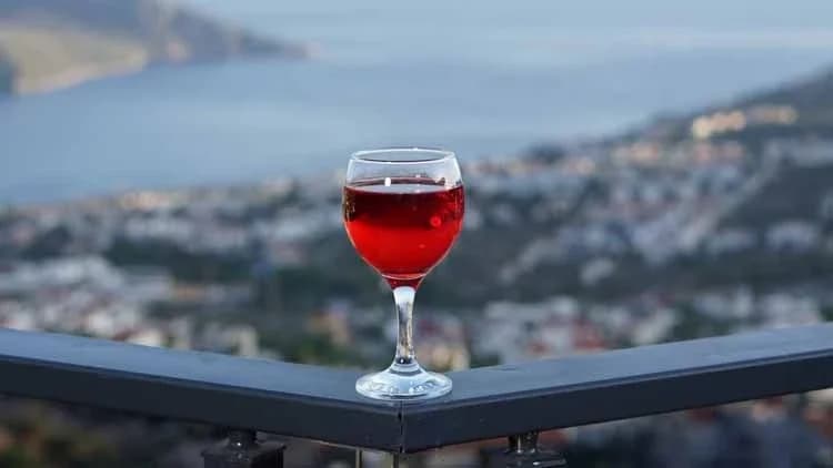 Villa Elit 52