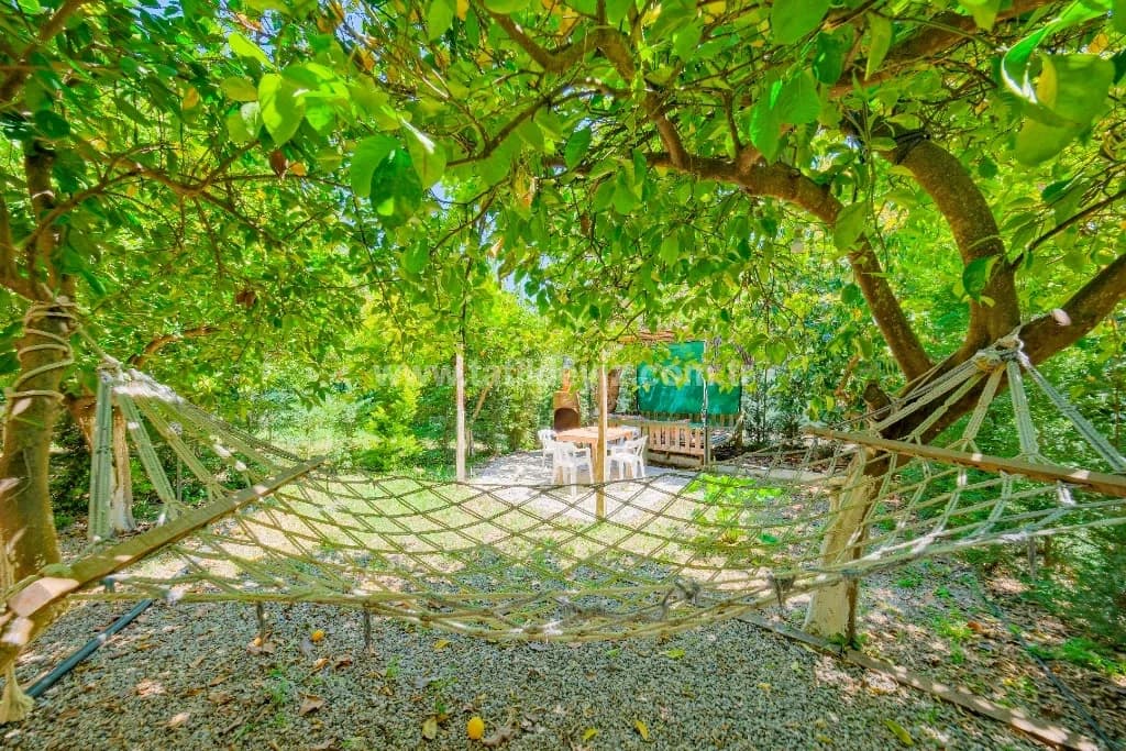 Bungalov Avokado 3 2