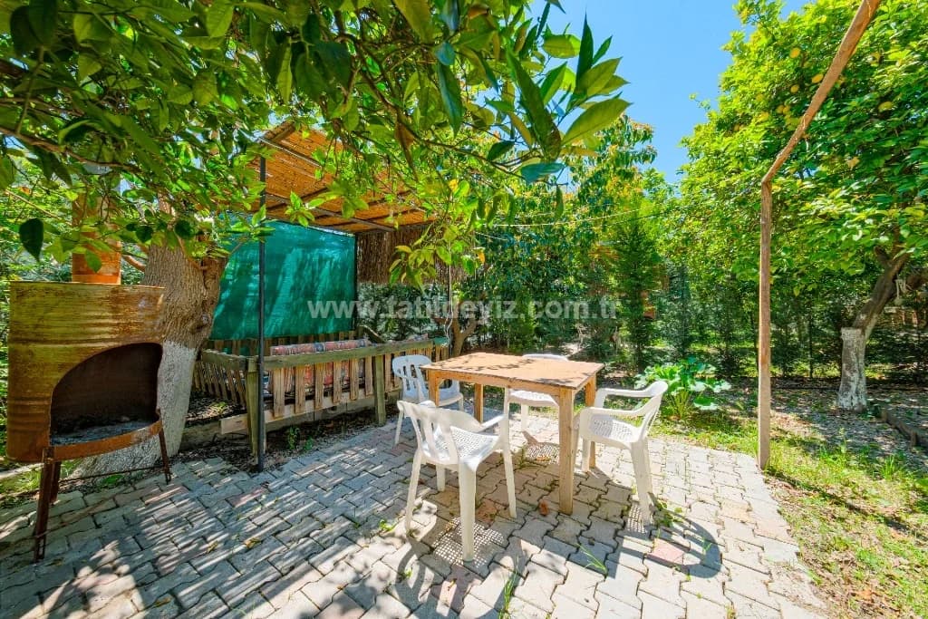 Bungalov Avokado 3 6