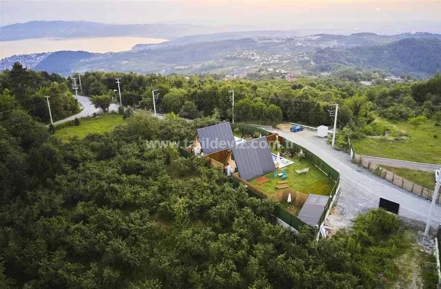 Bungalov Bonte 3 38